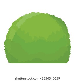 Round shape bush, shrub for garden decoration isolated on white background. Vector