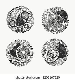 Round shape doodle fruit set with fig, persimmon, orange and pomegranate in black and white. Hand drawn vector illustration in engraved style.