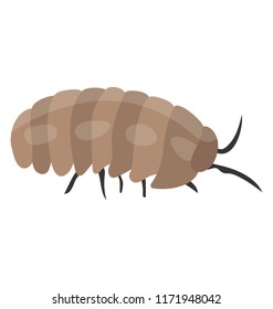 
Round shape face with eyes and wings, known as caterpillar 
