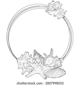 Round shape frame from hand drawn sea shells and starfish. Vector illustration in line art style on white background. A wreath with marine elements and space for text. Coloring book page