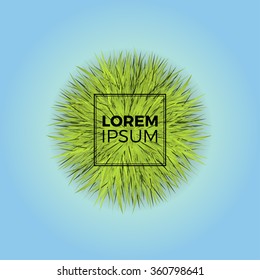 Round shape of green grass. Vector texture background. Lawn, field, meadow. Vector illustration.