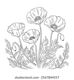 A round shape Poppy flower coloring page line art