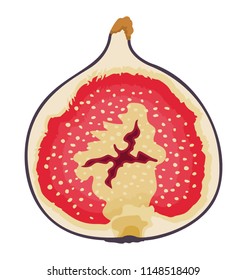 
A round shaped half cutted fruit having seeds depicting common fig
