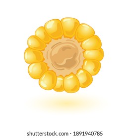 Round shaped yellow noggin with mellow grains. Vector boiled maize sweet dessert for lunch, vegetarian food, product for cooking, summer farm harvest idea isolated on white background
