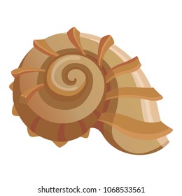 Round shell icon. Cartoon illustration of round shell vector icon for web
