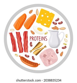 Round sign with protein food. Food macronutrients. High proteins food for healthy daily diet isolated on white. Bacon, egg, cream, fish, nuts, cheese, sausages. Nutrient complex diet flat vector.