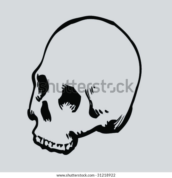 Round Skull Stock Vector (Royalty Free) 31218922 | Shutterstock