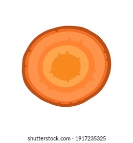 Round slice of carrot isolated on white background. Vector illustration in cartoon flat style.