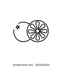 Round slice of citrus icon in outline style isolated on white background. Summer fruits rich in vitamins, vegetarianism, vector illustration. For the Internet and apps.