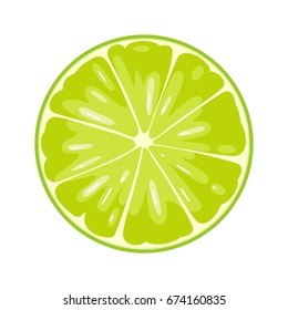 Round slice of lime. Isolated on white background. Vector flat color illustration
