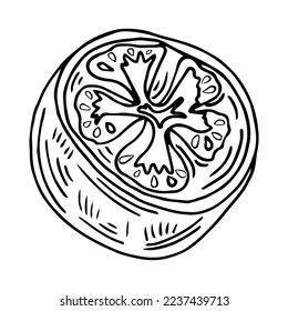 Round slice of tomato and a wedge of tomato sketchsingle icon vector isolated on white