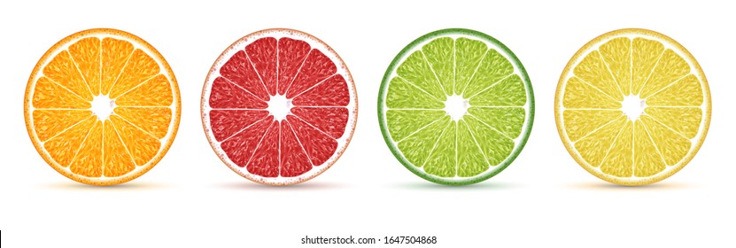Round slices of orange, grapefruit, lime and lemon on a white background. Highly realistic illustration. - Shutterstock ID 1647504868