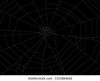Round spider web element illustration for design