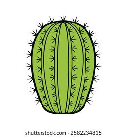 Round spiky cactus illustration isolated vector