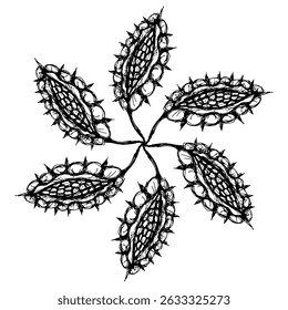 Round spiral star shape mandala with floral motifs. Hand drawn linear doodle rough sketch. Black and white silhouette.