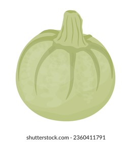 Calabaza redonda. Calabaza verde. Ilustración vectorial. Cosecha. Verdura. Aislado sobre un fondo blanco.