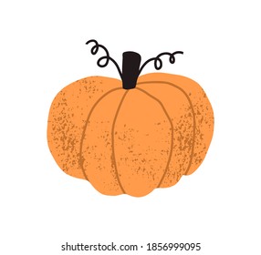 Calabaza redonda o calabaza con tallo marrón y tendrilos aislados sobre fondo blanco. Hortalizas de otoño de color naranja entero. Dibujo a mano de pintura texturizada de ilustración vectorial plana
