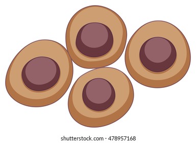 Round stem cell in brown color illustration