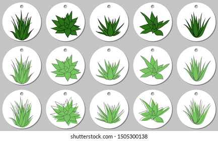 Round sticker template with aloe vera plants. Isolated vector illustration with green stains on white background