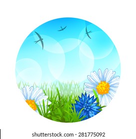 Round summer background with grass, swallows, daisies, cornflowers and bubbles