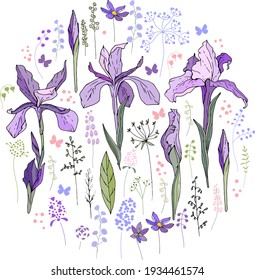 Round template with hand drawn violet irises. Circle made of different flowers and herbs. Floral illustration can be used as spring and summer design template.