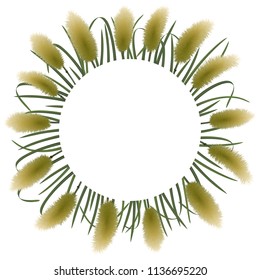 Round template on white background with miscanthus in watercolor style. Classic square mock up, template for greeting, birthday cards, invites, covers and posters with text place.