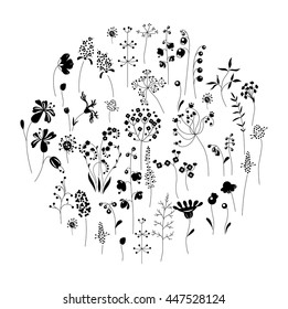 Round template with stylized herbs and plants.  Black and white. Elegant silhouette. Template for your design, floral greeting cards, announcements, posters.