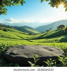 Round Timber Table with Beautiful Tea Garden View - Wooden Tabletop with Green Tea Farm and Sky – Blurred Background - Wood Surface with Scenic Blurry Tea Fields and Clear Sky