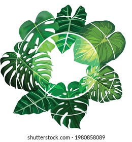 round transparence frame with monstera leaves - vector round transparence frame with monstera leaves high resolution for decoration or other 