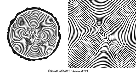 Cortar el tronco de árbol redondo, aserrar el pinar o roble. Vi madera cortada, madera. Textura de madera con anillos de árbol. Esbozo dibujado a mano. Ilustración del vector