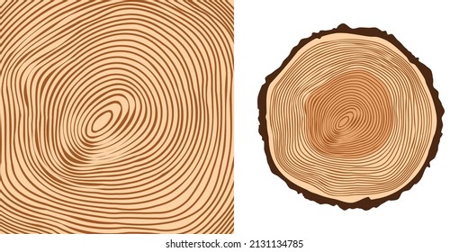 Round tree trunk cut, sawn pine or oak slice. Saw cut timber, wood. Brown wooden texture with tree rings. Hand drawn sketch. Vector illustration