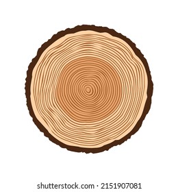 Cortar el tronco de árbol redondo, aserrar el pinar o roble. Vi madera cortada, madera. Textura de madera marrón con anillos de árbol. Esbozo dibujado a mano. Ilustración del vector