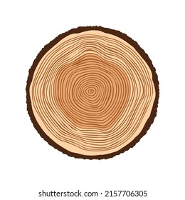 Round Tree Trunk Cut, Sawn Pine Or Oak Slice. Saw Cut Timber, Wood. Brown Wooden Texture With Tree Rings. Hand Drawn Sketch. Vector Illustration