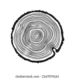 Round tree trunk cut, sawn pine or oak slice. Saw cut timber, wood. Wooden texture with tree rings. Hand drawn sketch. Vector illustration