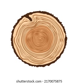 Round tree trunk cut, sawn pine or oak slice. Saw cut timber, wood. Brown wooden texture with tree rings. Hand drawn sketch. Vector illustration