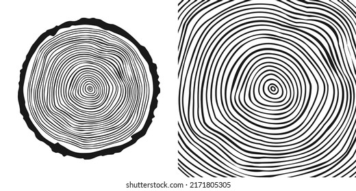 Round tree trunk cut, sawn pine or oak slice. Saw cut timber, wood. Wooden texture with tree rings. Hand drawn sketch. Vector illustration