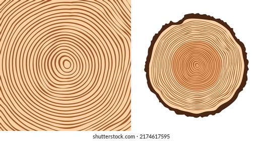 Round tree trunk cut, sawn pine or oak slice. Saw cut timber, wood. Brown wooden texture with tree rings. Hand drawn sketch. Vector illustration