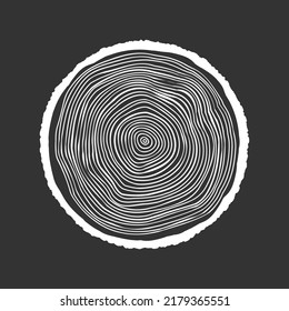 Round tree trunk cut, sawn pine or oak slice. Saw cut timber, wood. White wooden texture with tree rings. Hand drawn sketch. Vector illustration