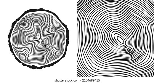 Cortar el tronco de árbol redondo, aserrar el pinar o roble. Vi madera cortada, madera. Textura de madera con anillos de árbol. Esbozo dibujado a mano. Ilustración del vector