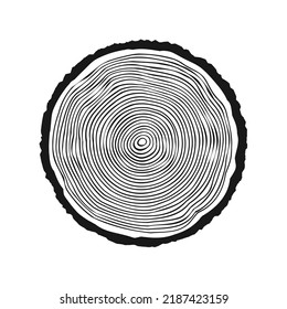 Round tree trunk cut, sawn pine or oak slice. Saw cut timber, wood. Wooden texture with tree rings. Hand drawn sketch. Vector illustration