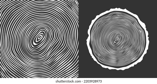 Round tree trunk cut, sawn pine or oak slice. Saw cut timber, wood. White wooden texture with tree rings. Hand drawn sketch. Vector illustration