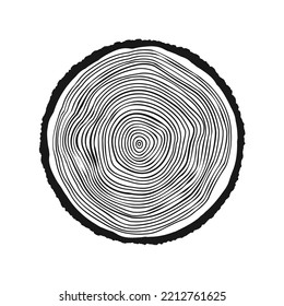 Round tree trunk cut, sawn pine or oak slice. Saw cut timber, wood. Wooden texture with tree rings. Hand drawn sketch. Vector illustration