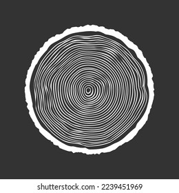 Round tree trunk cut, sawn pine or oak slice. Saw cut timber, wood. White wooden texture with tree rings. Hand drawn sketch. Vector illustration