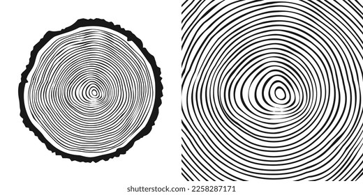 Cortar el tronco de árbol redondo, aserrar el pinar o roble. Vi madera cortada, madera. Textura de madera con anillos de árbol. Esbozo dibujado a mano. Ilustración del vector