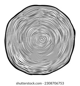 Round tree trunk cut, sawn pine or oak slice. Saw cut timber, wood. Wooden texture with tree rings. Hand drawn sketch. Vector illustration