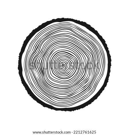 Round tree trunk cut, sawn pine or oak slice. Saw cut timber, wood. Wooden texture with tree rings. Hand drawn sketch. Vector illustration