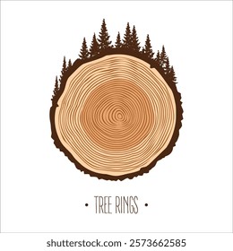 Round tree trunk cut with trees and forest. Sawn pine or oak slice, lumber. Saw cut timber, wood. Brown wooden texture with tree rings. Hand drawn sketch. Vector illustration