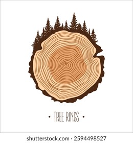 Round tree trunk cut with trees and forest. Sawn pine or oak slice, lumber. Saw cut timber, wood. Brown wooden texture with tree rings. Hand drawn sketch. Vector illustration