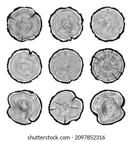 Round tree trunk cuts with cracks, sawn pine or oak slices, lumber. Saw cut timber, wood. Wooden texture with tree rings. Hand drawn sketch. Vector illustration