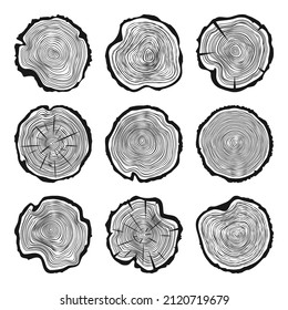 Round tree trunk cuts with cracks, sawn pine or oak slices, lumber. Saw cut timber, wood. Wooden texture with tree rings. Hand drawn sketch. Vector illustration